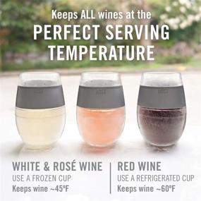 img 3 attached to Host Freeze Cooling Cup Set: Plastic Double Wall Insulated Tumbler with Gel for Chilled Wines - Red & White Wine Glasses (8.5 oz, Grey)