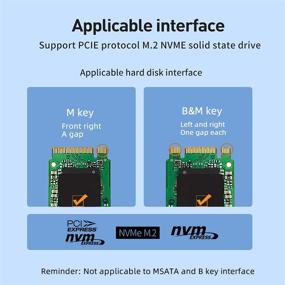 img 2 attached to DMLIANKE M.2 NVME PCIe Adapter with Low Profile Bracket - M Key SSD to PCI-e 3.0 x4 Host Controller Expansion Card for 2230/2242/2260/2280/22110 (Single; AHCI Not Supported)