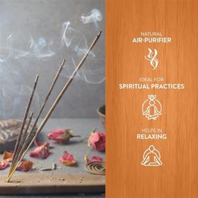 img 3 attached to 🌲 Hem Cedar Incense Sticks - 6 Packs - 120 Count - 301g