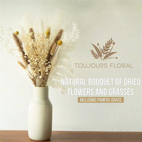 img 3 attached to Toujours Floral - 100% Natural Dried Flower and Grass Bouquet with 9 Varieties 🌸 Including Pampas Grass, Presented in a Gift Box, Boho Plant Decor and Dried Floral Arrangement