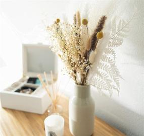 img 4 attached to Toujours Floral - 100% Natural Dried Flower and Grass Bouquet with 9 Varieties 🌸 Including Pampas Grass, Presented in a Gift Box, Boho Plant Decor and Dried Floral Arrangement