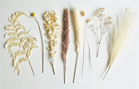 img 2 attached to Toujours Floral - 100% Natural Dried Flower and Grass Bouquet with 9 Varieties 🌸 Including Pampas Grass, Presented in a Gift Box, Boho Plant Decor and Dried Floral Arrangement