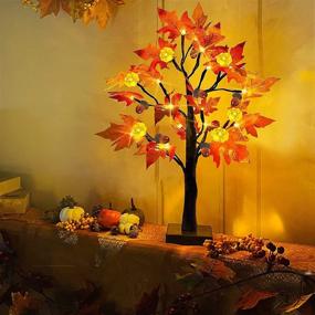 img 2 attached to 🍁 Fall-Inspired TURNMEON 24 Inch LED Maple Tree with Timer: 24 Lights Battery Operated Tabletop Pumpkin Acorn Tree for Autumn Harvest Decorations