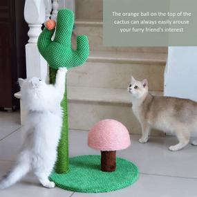 img 1 attached to 🌵 27-inch Tall Cat Activity Scratcher - Cactus Cat Scratching Post with Sisal Rope and Interactive Dangling Ball, Mushroom Claw Scratcher for Kittens