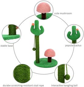 img 2 attached to 🌵 27-inch Tall Cat Activity Scratcher - Cactus Cat Scratching Post with Sisal Rope and Interactive Dangling Ball, Mushroom Claw Scratcher for Kittens