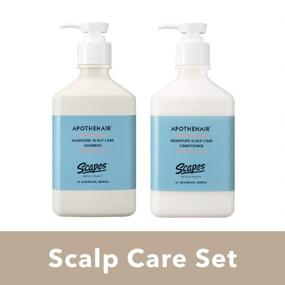 img 3 attached to 🌿 [UNVEILING EXQUISITE SCENERY] Apothehair ::Korean Ginseng:: Deluxe Scalp Care Shampoo, Conditioner Set 10.48 fl.oz/310 ml