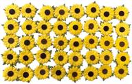 50 pcs yellow sunflowers mulberry paper flowers with brown centre - ideal for scrapbooking and craft projects logo