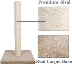 img 3 attached to 🐱 Dimaka 29" Tall Cat Scratching Post: Perfect for Big Cats, with Natural Sisal Rope Post and Sturdy Carpet Base - Ideal Adult Cat Scratcher and Tree