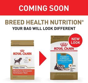 img 3 attached to Premium Nutrition for Miniature Schnauzer Puppies: Royal Canin Dry Dog Food – 2.5 lb Bag