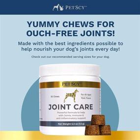 img 2 attached to 🐶 Petscy Joint Care Chews - Glucosamine, Chondroitin, MSM, and Creatine Supplement for Dogs - Relieve Joint Pain and Support All Ages and Breeds - 30 Chews - Pork Flavor - Made in USA