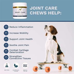 img 1 attached to 🐶 Petscy Joint Care Chews - Glucosamine, Chondroitin, MSM, and Creatine Supplement for Dogs - Relieve Joint Pain and Support All Ages and Breeds - 30 Chews - Pork Flavor - Made in USA