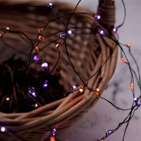 img 3 attached to 🎃 MENGNAN Halloween Fairy Lights: 10ft Fall String Lights with Timer - Perfect Autumn Indoor Home Decor for Thanksgiving, Halloween, and Christmas - Battery Operated (Orange - Purple)