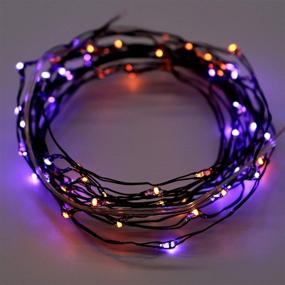 img 4 attached to 🎃 MENGNAN Halloween Fairy Lights: 10ft Fall String Lights with Timer - Perfect Autumn Indoor Home Decor for Thanksgiving, Halloween, and Christmas - Battery Operated (Orange - Purple)