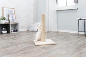 img 2 attached to 🐱 TRIXIE Plush and Sisal Covered Scratching Post: Small Cat Trees 24-32" Tall