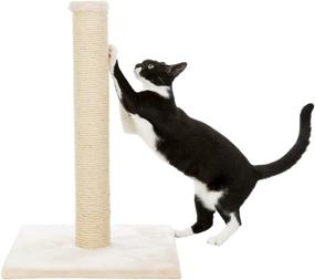 img 3 attached to 🐱 TRIXIE Plush and Sisal Covered Scratching Post: Small Cat Trees 24-32" Tall