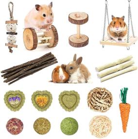 img 4 attached to 🐇 Natural Wooden Teeth Care Chew Toys for Guinea Pigs, Hamsters, Rabbits, Gerbils, Rats, Chinchillas, and Small Pets - Suwikeke Treats and Molar Accessories