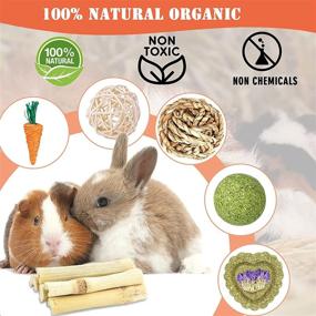 img 1 attached to 🐇 Natural Wooden Teeth Care Chew Toys for Guinea Pigs, Hamsters, Rabbits, Gerbils, Rats, Chinchillas, and Small Pets - Suwikeke Treats and Molar Accessories