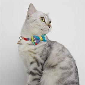 img 3 attached to 🐱 XPangle Bowtie Cat Breakaway Collar with Bell - Plaid Kitty Collars for Adjustable Kitten Safety, Buckle 7.5-11.4 inches