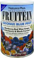 naturesplus fruitein luscious blue fruit high protein energy shake - vegetarian powder with vitamins, minerals, enzymes, herbs & whole foods - non-gmo, gluten-free - 16 servings logo