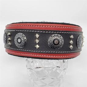 img 2 attached to 🐾 BlazingPaws Armington 2" Wide Luxury Thick Leather Western Dog Collar for Large Dogs, Soft Suede Padded Collar with Conchos and Square Stud Design