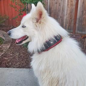 img 3 attached to 🐾 BlazingPaws Armington 2" Wide Luxury Thick Leather Western Dog Collar for Large Dogs, Soft Suede Padded Collar with Conchos and Square Stud Design