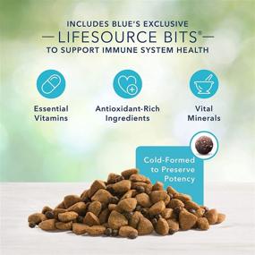 img 1 attached to 🐶 Optimized for the Best: Blue Buffalo Freedom Natural Grain-Free Dry Dog Food for Adult Large Breeds