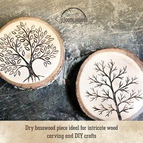 img 1 attached to 🌳 Woodlandia 4-Pack Basswood Disks: Versatile Wood Plates for Weddings, Events, Parties, & Crafts (10x1 Inches)