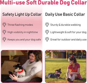 img 1 attached to 🐾 Red LED Dog Collar - Waterproof USB Rechargeable Safety Light Up Flashing Collar for Small, Medium, Large Dogs Glowing in the Dark (Size M)