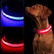 🐾 red led dog collar - waterproof usb rechargeable safety light up flashing collar for small, medium, large dogs glowing in the dark (size m) logo