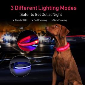 img 3 attached to 🐾 Red LED Dog Collar - Waterproof USB Rechargeable Safety Light Up Flashing Collar for Small, Medium, Large Dogs Glowing in the Dark (Size M)