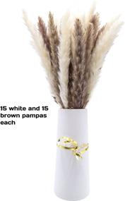 img 3 attached to Natural Dried Pampas Grass for Home Decor and Design Arrangements - 30 PCS, 45cm. Fluffy and Soft Plume, White and Brown Mix, Short Pampas Grass.