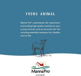 img 1 attached to 🐎 Manna Pro Cetyl-M: The Ultimate Joint Supplement for Horses