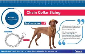 img 2 attached to 20-Inch Herm Sprenger Steel Chain Choke Dog Collar with 3mm Heavy Links - Enhanced SEO-Friendly Product Title