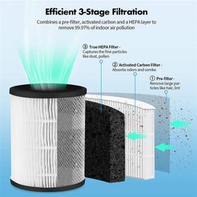 img 3 attached to 🌬️ High-Performance Air Purifier for Home with H13 True HEPA Filter - Eliminate 99.97% Smoke, Pet Hair, and Odors