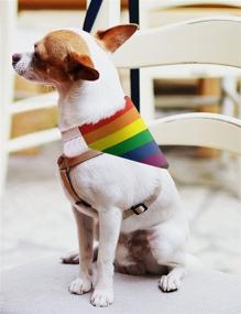 img 1 attached to 🌈 LGBT Pride Rainbow Dog Bandana - Rainbow Dog Accessories for Stylish Dog Pride Outfits - Dog Bandana Scarf for Dogs Bib