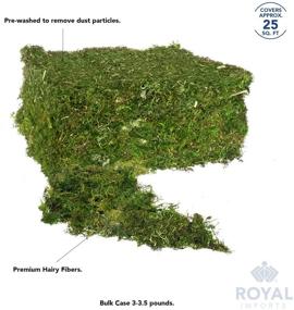 img 1 attached to 🌿 Premium 3 LB Bulk Case of Royal Imports Fresh Dried Forest Green Moss - Naturally Preserved Loose Chunks for Versatile Décor