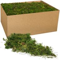 🌿 premium 3 lb bulk case of royal imports fresh dried forest green moss - naturally preserved loose chunks for versatile décor logo
