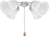 🔆 aspen creative 22003-11 ceiling fan fitter light kit: stylish brushed nickel design logo