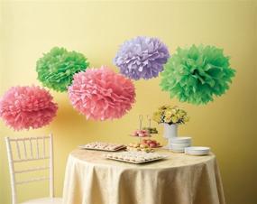 img 3 attached to Kubert® Pom Poms Decoration Decoration