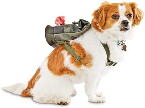 img 3 attached to Рюкзак для собак Petco Brand Reddy Camo Canvas: стильное и функциональное снаряжение для путешествий вашего питомца