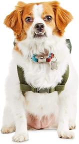 img 2 attached to Рюкзак для собак Petco Brand Reddy Camo Canvas: стильное и функциональное снаряжение для путешествий вашего питомца