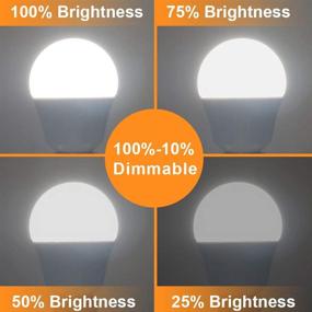 img 1 attached to Dimmable Daylight LED Bulb – Prosperbiz Candelabra Equivalent