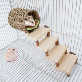 img 4 attached to 🐹 Premium Wooden Molar Toys for Small Animals - Enhance Dental Health and Climbing Skills of Hamsters, Guinea Pigs, and Gerbils