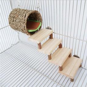 img 1 attached to 🐹 Premium Wooden Molar Toys for Small Animals - Enhance Dental Health and Climbing Skills of Hamsters, Guinea Pigs, and Gerbils