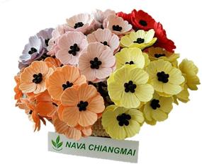 img 4 attached to 🌺 NAVA CHIANGMAI Mixed Color Poppies Mulberry Paper Flowers - Ideal for Scrapbooking, Wedding Decor, Doll House Supplies, DIY Crafts, and Home Decoration