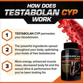 img 3 attached to 💪 Testabolan Cyp: Natural Testosterone Booster for Fat Loss, Muscle Definition, Skin Elasticity & Immunity
