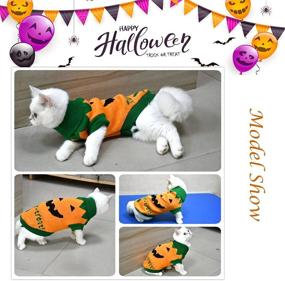 img 1 attached to 👻 Vehomy Pet Halloween Sweater: Ghost Trick or Treat Pattern for Puppy Dogs and Kittens