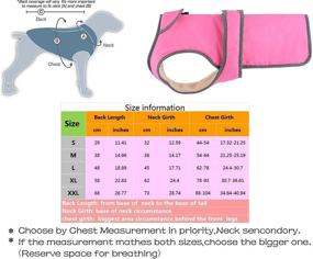 img 4 attached to 🐶 LEMONPET Dog Coat: Waterproof & Reflective Winter Jacket for Dogs - Cozy Warmth & Outdoor Protection