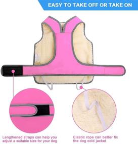 img 3 attached to 🐶 LEMONPET Dog Coat: Waterproof & Reflective Winter Jacket for Dogs - Cozy Warmth & Outdoor Protection