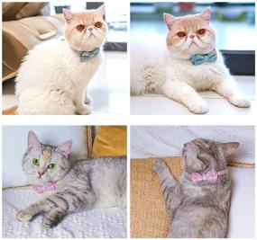 img 3 attached to 😺 QuTZ Adjustable Cat Collar: Stylish Bell & Bow Tie Design, Durable & Light Fabric - 2pc Set for Male & Female Cats